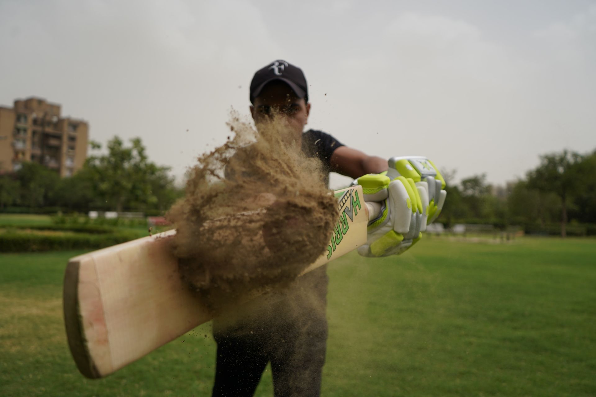 cricket  betting